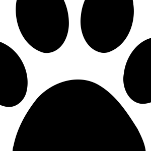 Lost Dog CiCi