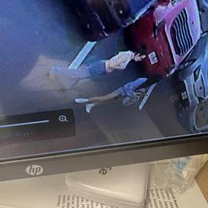 Lost Dog Mimi