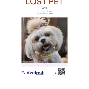 Lost Dog Layla