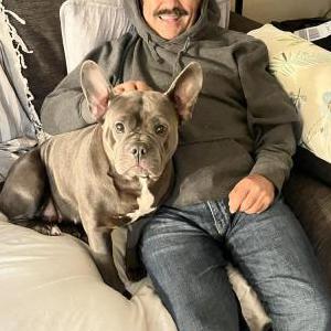 Lost Dog Gracie Gray