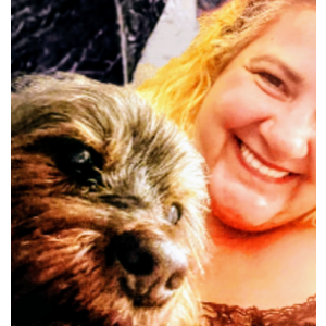 Lost Dog Rocky