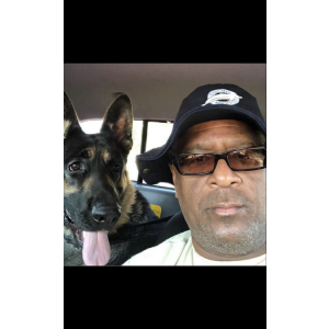 Lost Dog Tobias