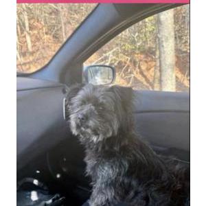Lost 1 Duke (SC)