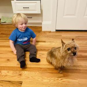 Lost Dog Maizie