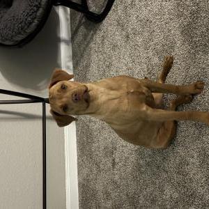 Lost 1 June (MI)
