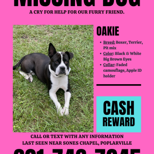 Lost 1 Oakie (MS)