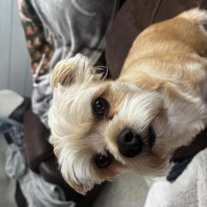 Lost 1 Maverick (WY)