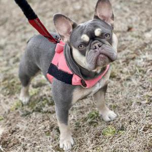Lost 1 Betty (TN)