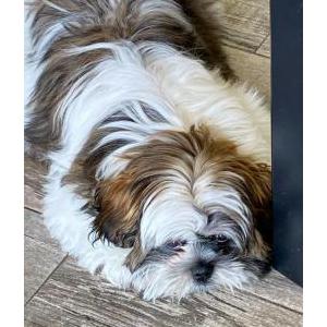 Lost 1 Coco (FL)