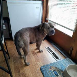 Lost 1 Cooper (OH)