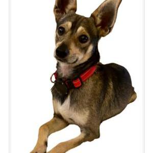 Lost 1 Wiley (CA)
