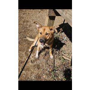 Lost 1 Harper (GA)