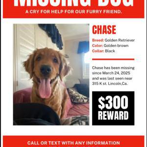 Lost 1 CHASE (CA)