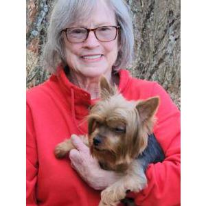 Image of Jolene, Lost Dog