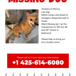 Lost Dog Moony