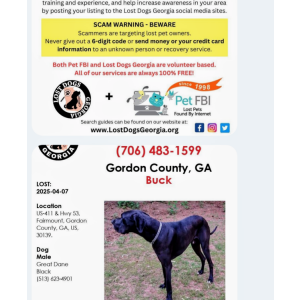Image of Buck, Lost Dog