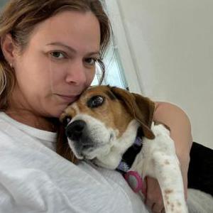 Image of Sasha, Lost Dog