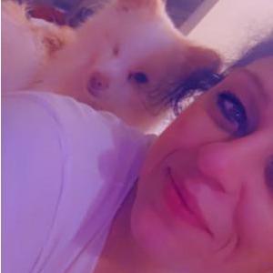 Image of Javi, Lost Dog