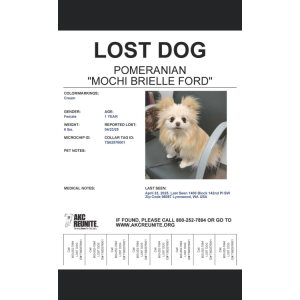 Lost Dog Mochi Ford