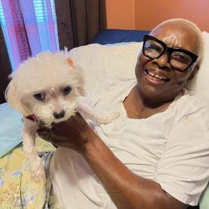 Image of Ariel, Lost Dog