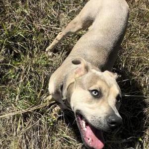 Lost 1 Cane (FL)