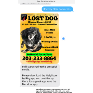 Lost Dog Patrick Dyer