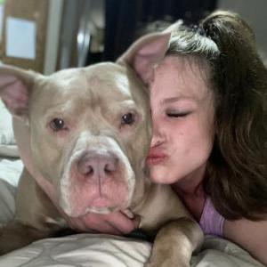 Image of Tank, Lost Dog