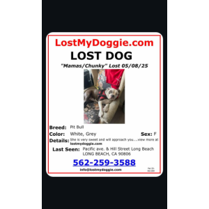 Lost Dog Mamas