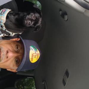 Image of Baby, Lost Dog