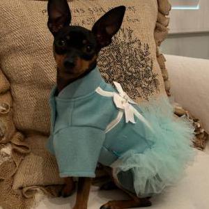 Image of Silk, Lost Dog