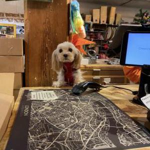 Image of Yeoreum or summer, Lost Dog