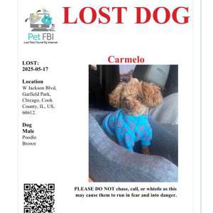 Lost 1 Carmelo (IL)