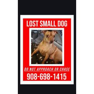 Lost 1 Toretto (NJ)