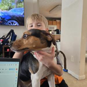 Lost Dog Axle