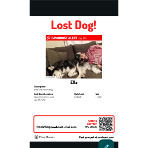 Image of Ella, Lost Dog