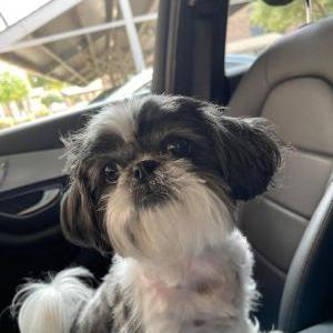 Lost 1 Macy Dee McKenzie (TX)