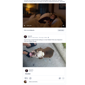 Lost Dog Kenzi