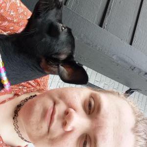 Image of Ari, Lost Dog