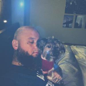Image of Dolce, Lost Dog