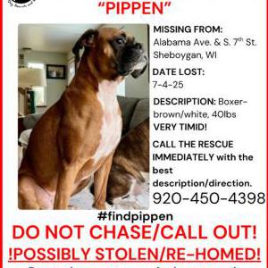 Lost 1 Pippen (WI)