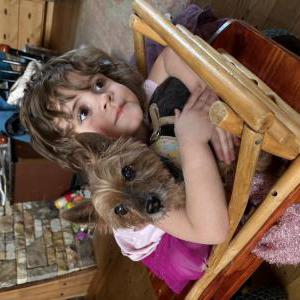 Lost Dog Oto