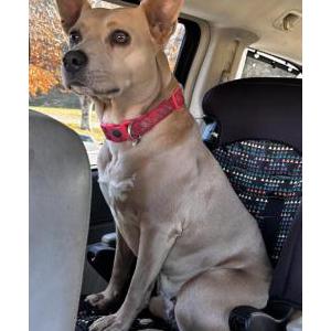 Lost 1 Venus (VA)
