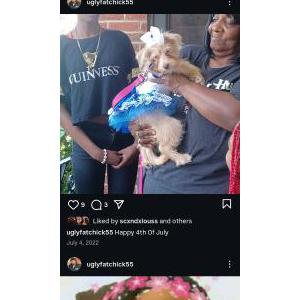 Lost Dog Chloe