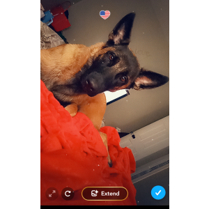Lost Dog Lil baby