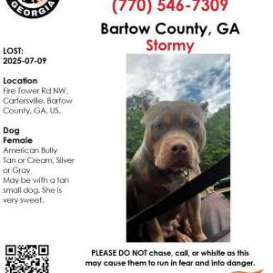 Lost 1 Stormy (GA)