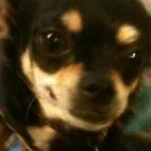Lost 1 Molly woodring (CT)