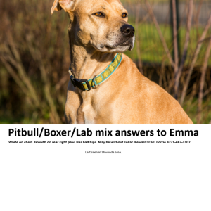 Lost 1 Emma (FL)