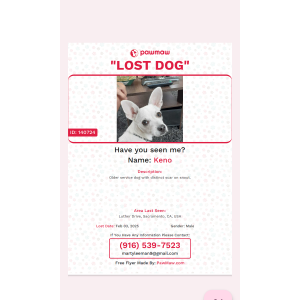Lost Dog Keyno