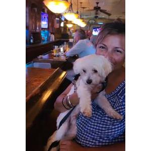 Lost Dog Frankie