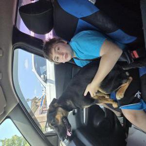 Lost Dog Beau